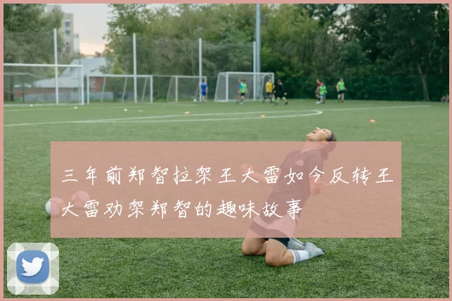 三年前郑智拉架王大雷如今反转王大雷劝架郑智的趣味故事