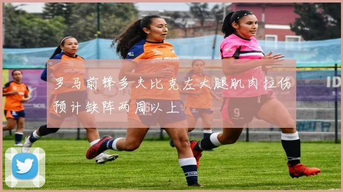 罗马前锋多夫比克左大腿肌肉拉伤预计缺阵两周以上